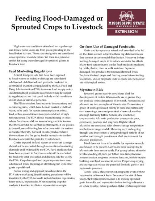 Preview of P2596_web