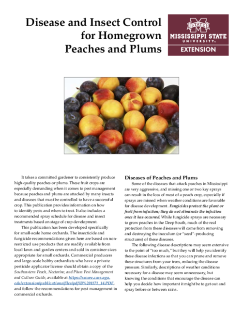 Preview of P2858_web