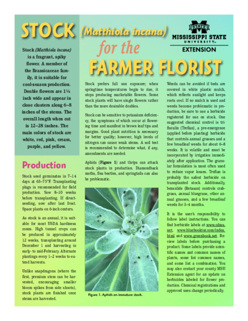 Preview of P3252_web