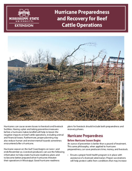 Preview of P2507_web.pdf