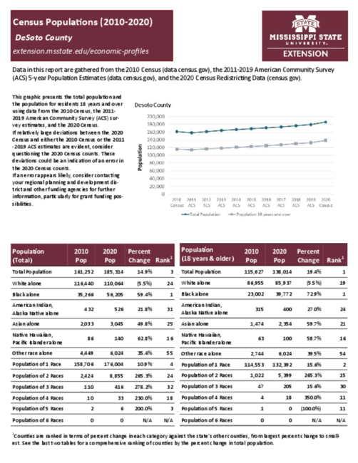 Preview of desoto_county_census_profile
