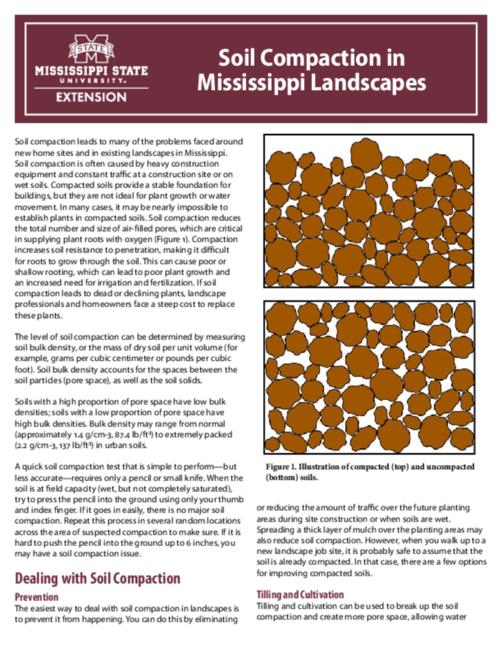 Preview of P3748_web