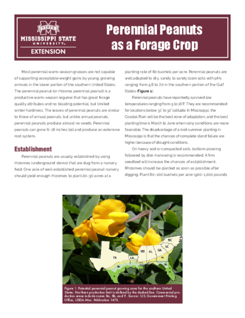 Preview of P2624_web