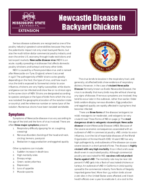 Preview of P3289_web