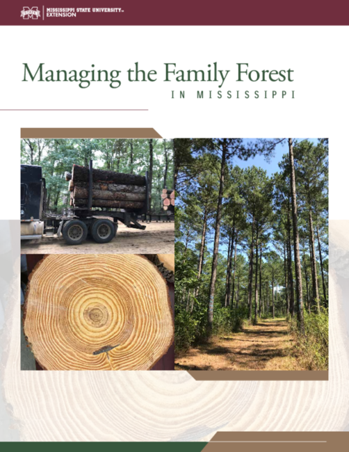 Preview of P2470_ManagingFamilyForest_web