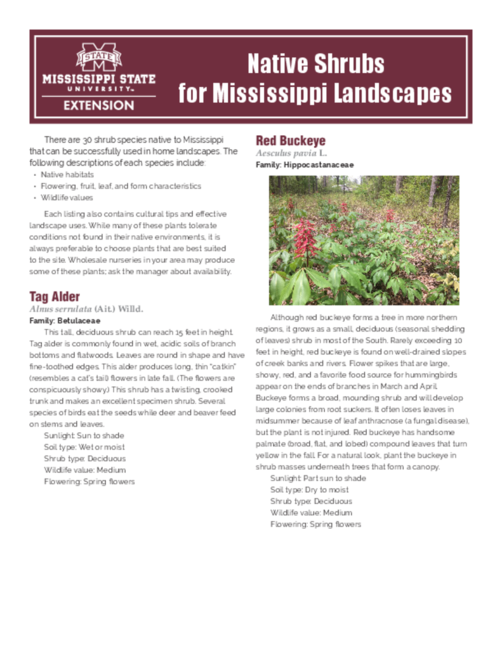 Preview of P2334_web