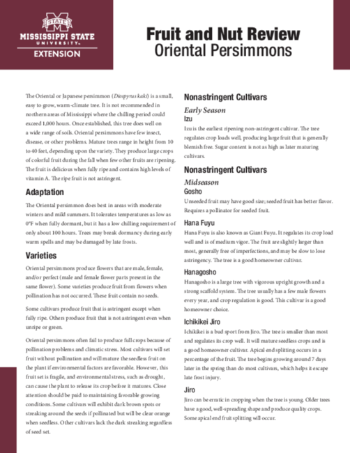 Preview of P3802_web