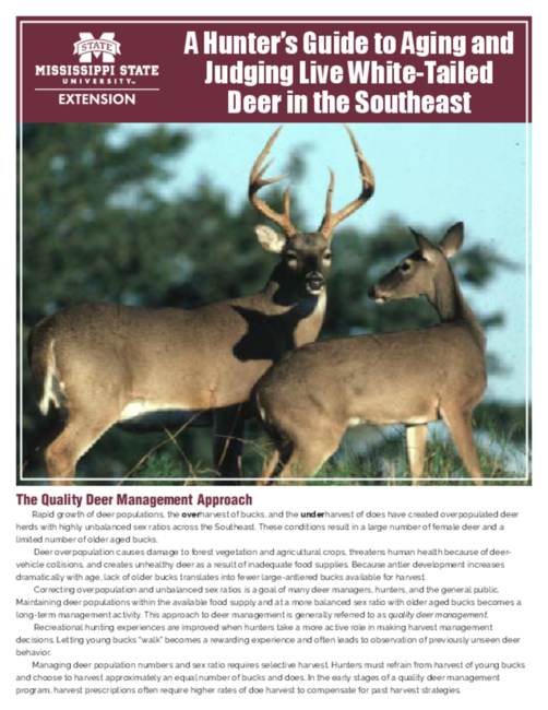Preview of POD_P2206_AgingDeer-WEB
