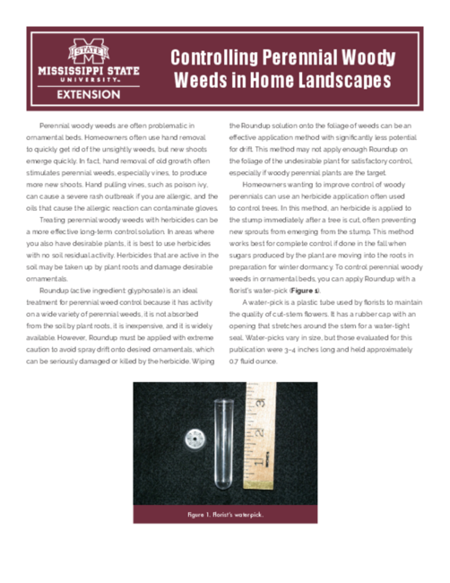 Preview of P3808_web