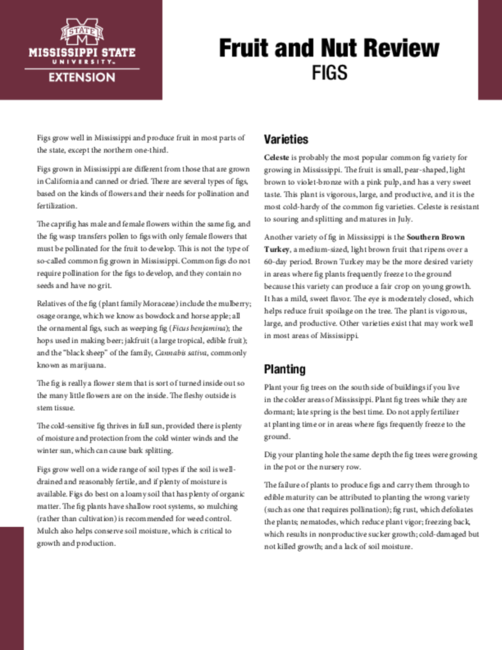 Preview of P3811_web