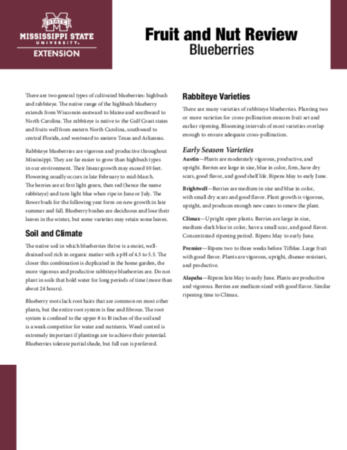 Preview of P3801_web