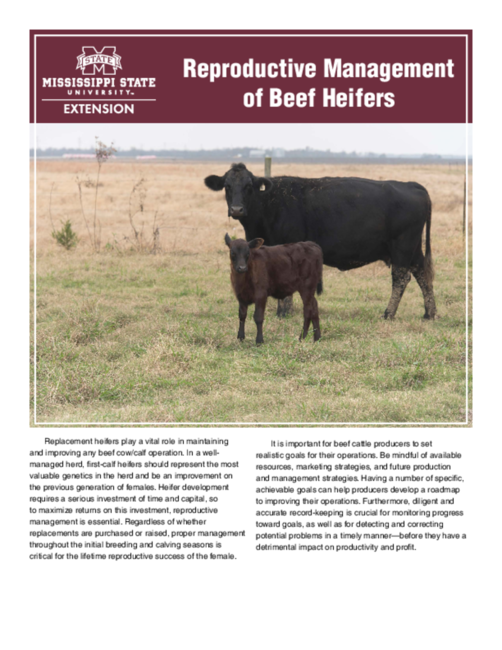 Preview of P2763_web