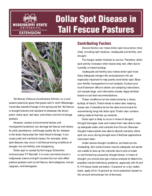 Preview of P2455_web