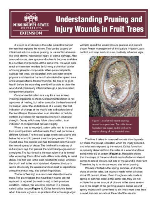 Preview of P2729_web
