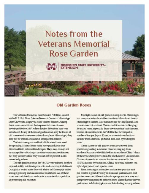 Preview of p2746_web