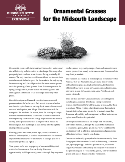 Preview of P2532_web