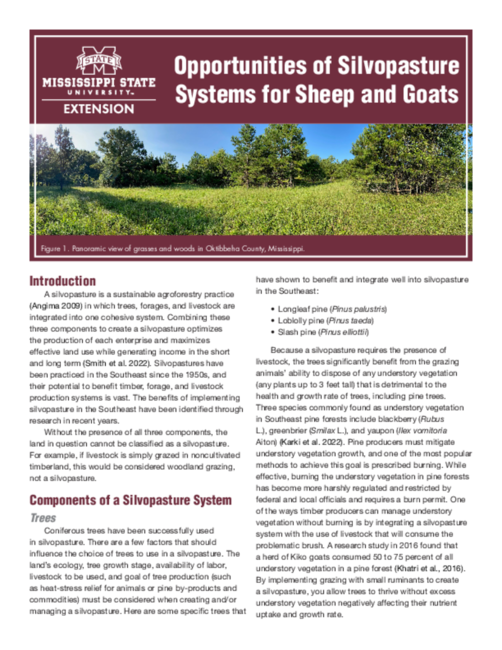 Preview of P3822_web