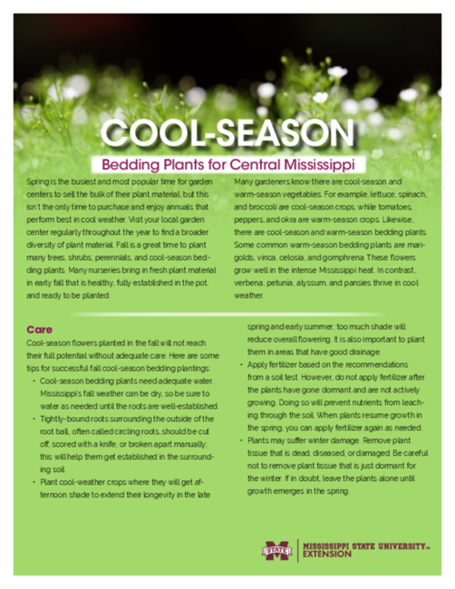 Preview of P3370_web