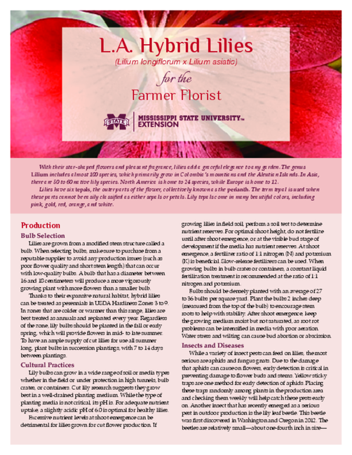 Preview of P3818_web