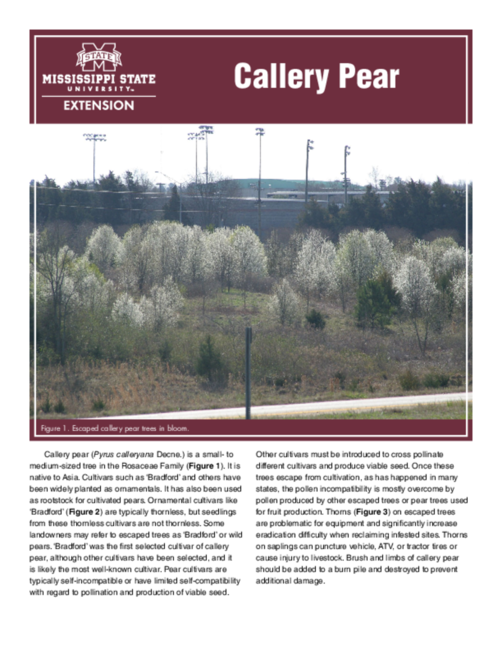 Preview of P3316_web