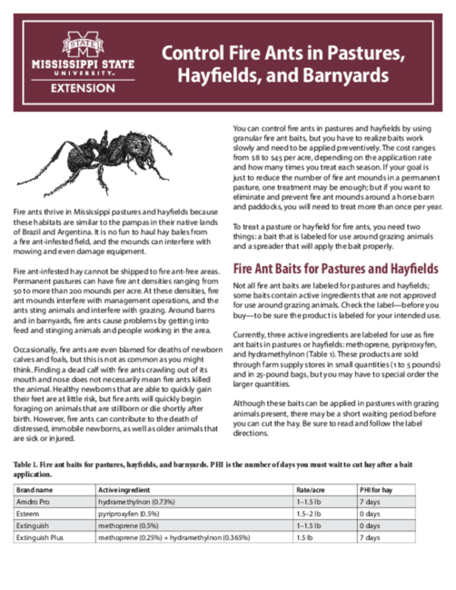 Preview of P2493_web