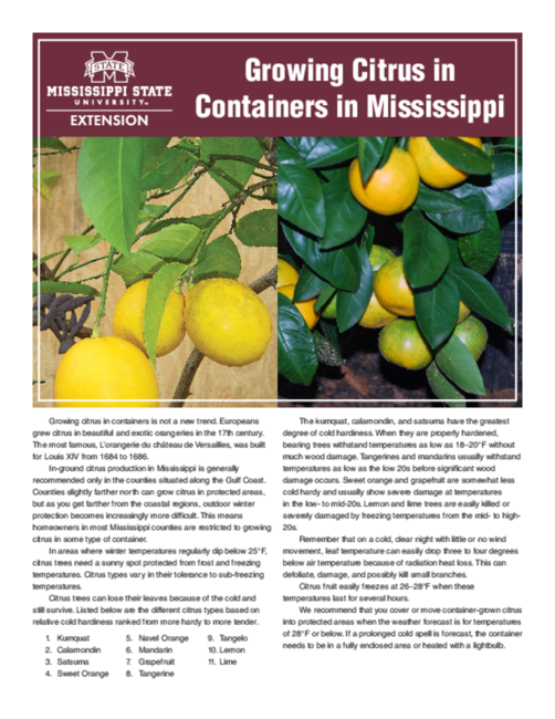Preview of P2542_web