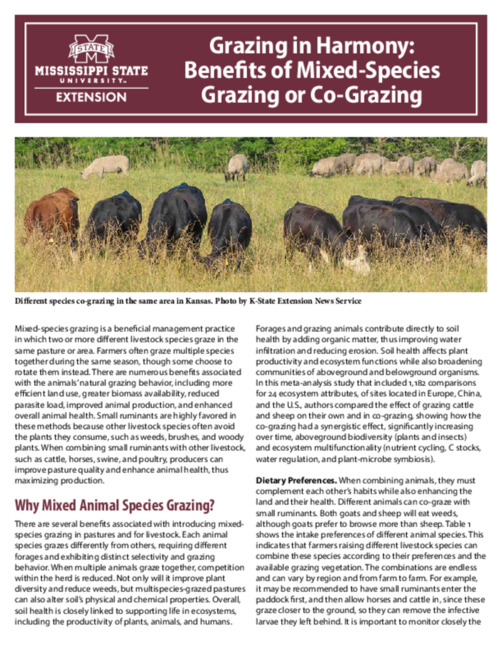 Preview of P4190_web.pdf