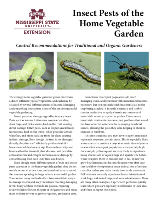 Preview of P2347_web