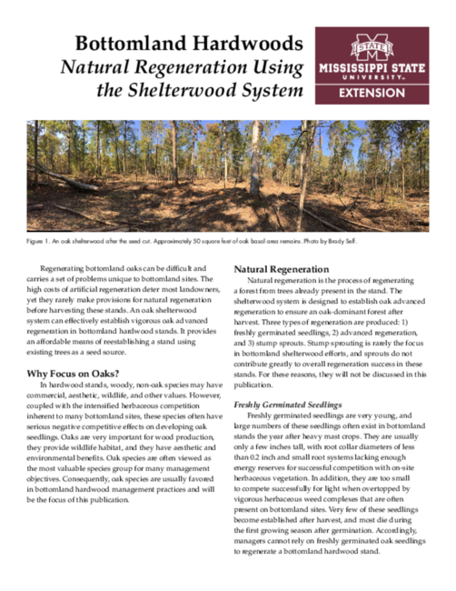 Preview of P3461_web