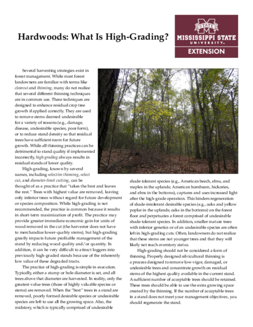 Preview of P3451_web