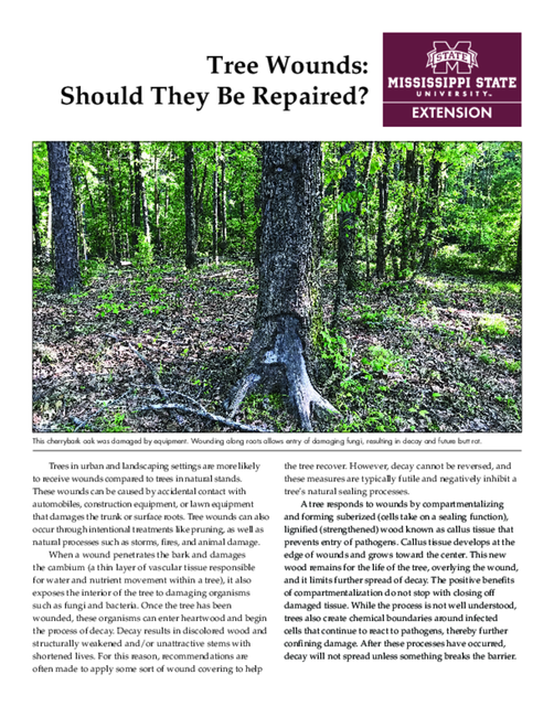 Preview of P3533_web