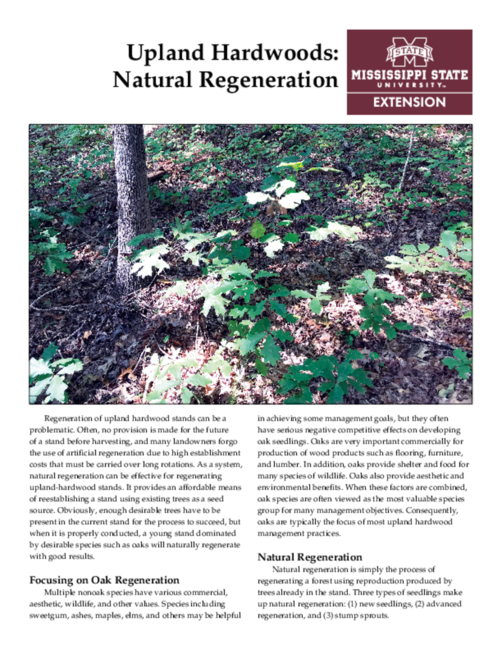 Preview of P3476_web