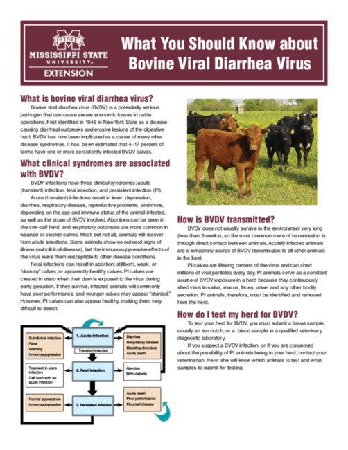 Preview of P2480_web