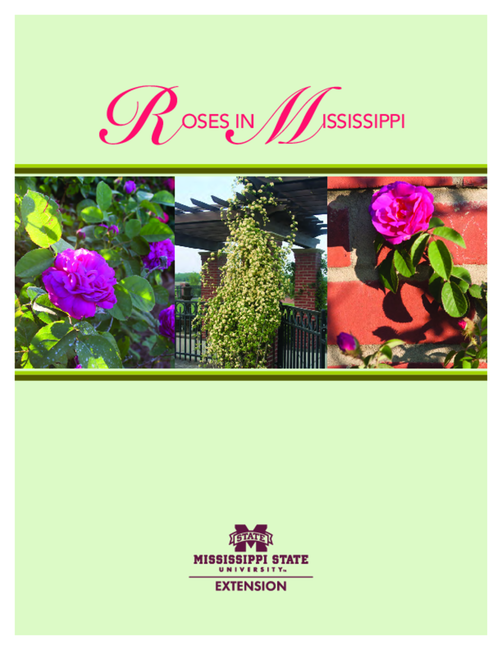 Preview of P2835_RosesInMS_web