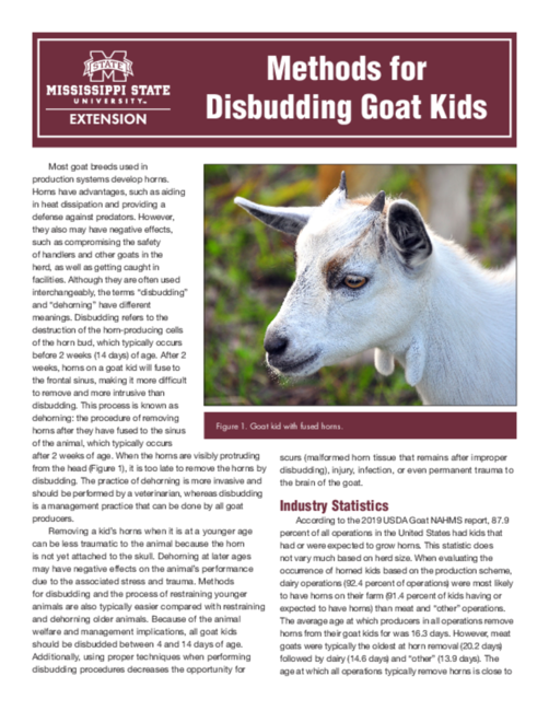 Preview of P3879_web