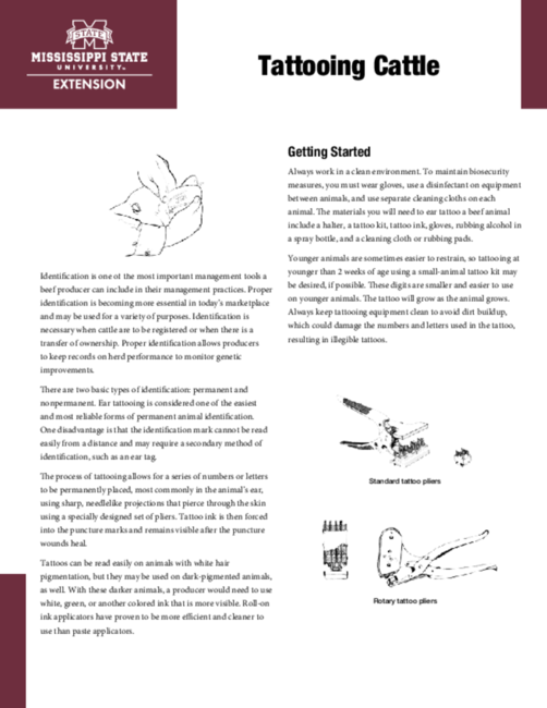 Preview of P3880_web