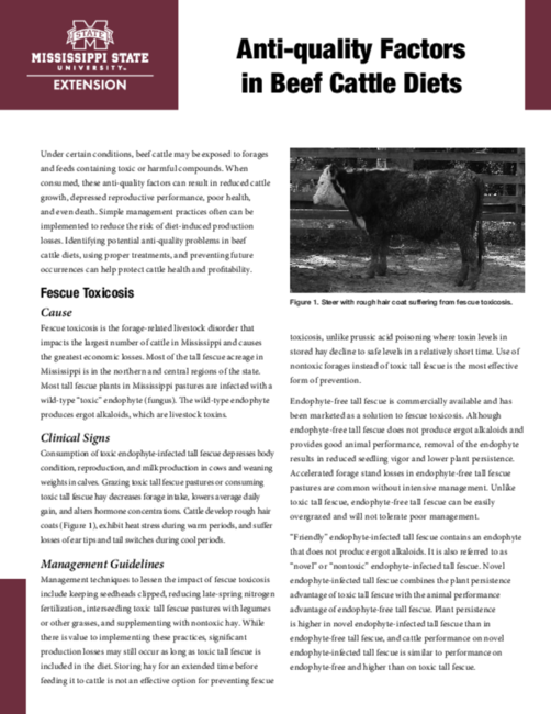 Preview of P2521_web