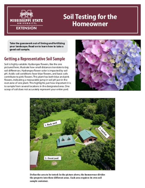 Preview of P3883_web