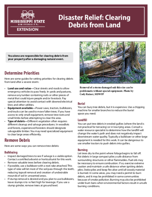 Preview of P3884_web