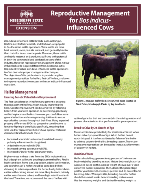 Preview of P3888_web