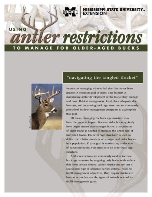 Preview of P2427_web