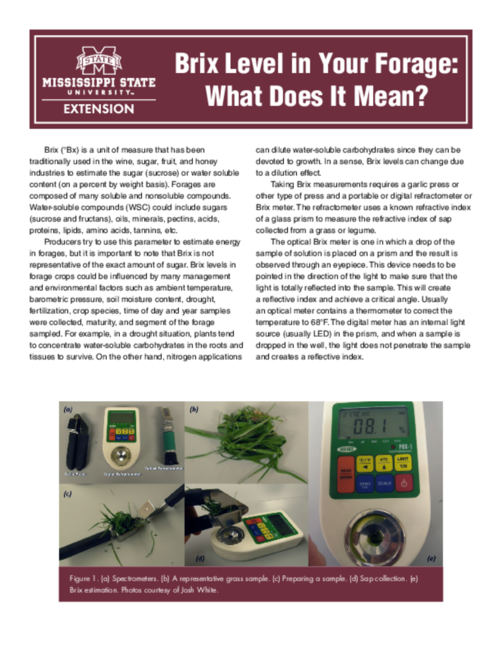Preview of P2836_web