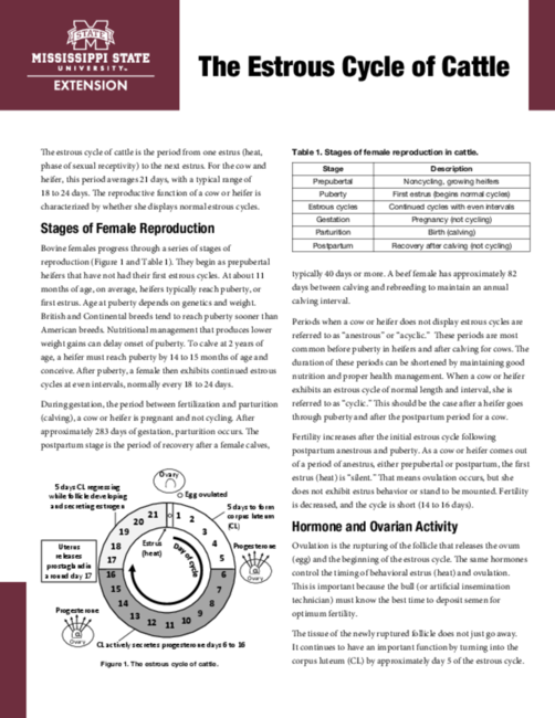 Preview of P2616_web