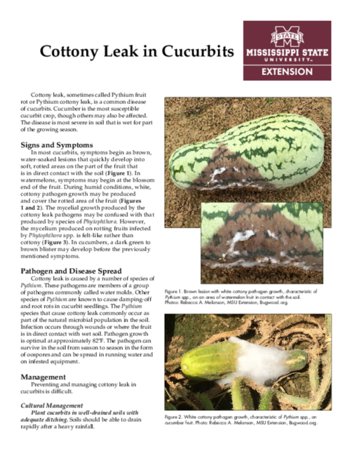 Preview of P3210_web