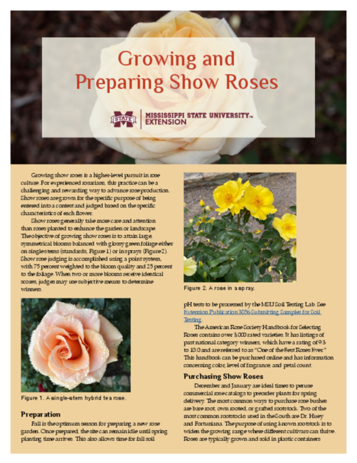 Preview of P3921_web