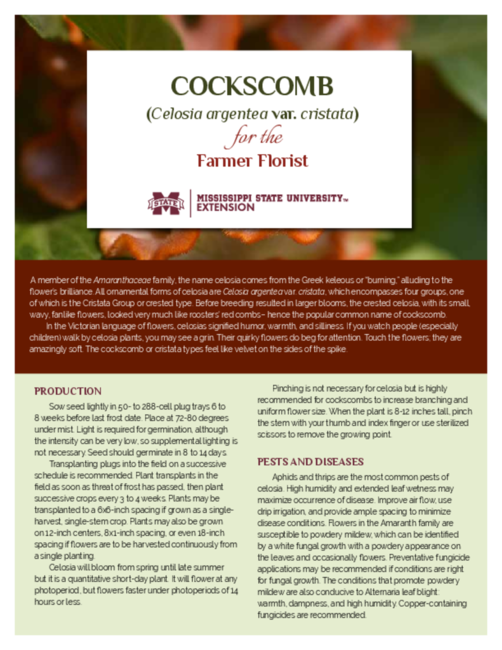 Preview of P3911_web