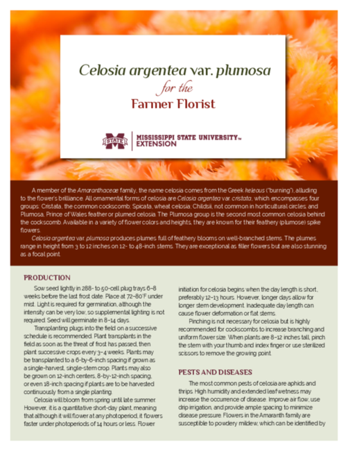 Preview of P3915_web