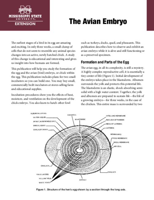 Preview of P1150_web