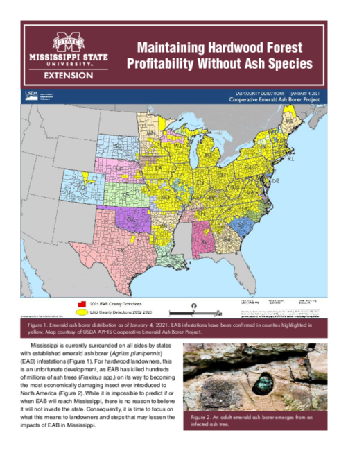 Preview of P3009_web