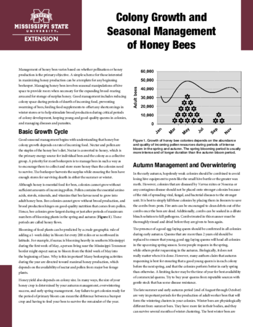 Preview of P2941_web